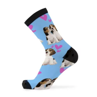 Beagle Sock