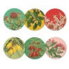 Native Botanicals of NZ set of 6 Coasters 2