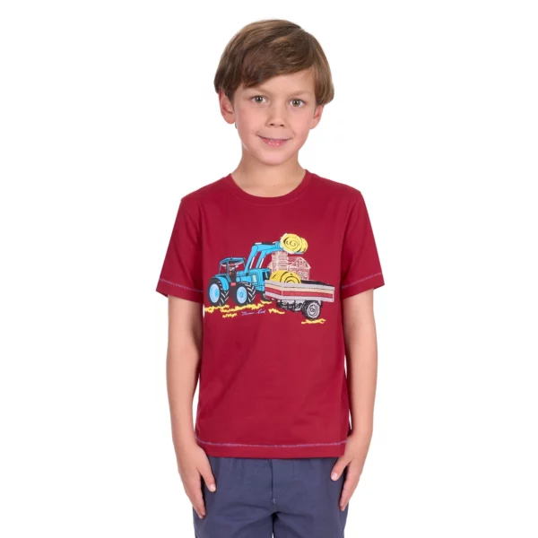 thomas cook boys nicholas tee red 3