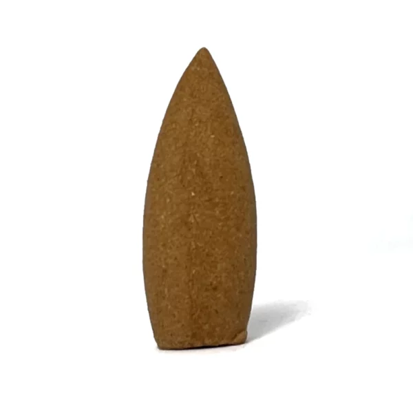 sandesh backflow cones 1